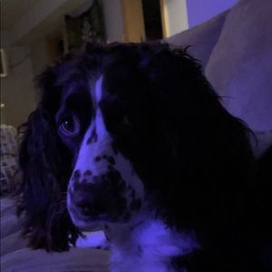 Meet your Posher, Kaden